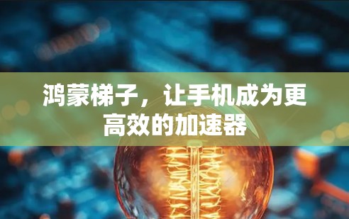 鸿蒙梯子，让手机成为更高效的加速器