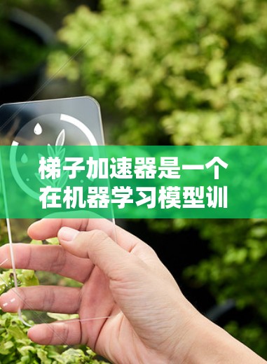 梯子加速器是一个在机器学习模型训练过程中使用优化方法加速收敛的工具。它帮助模型更快地找到最优参数，从而提高训练效率。以下是关于梯子加速器的详细分析和资源推荐