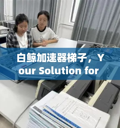 白鲸加速器梯子，Your Solution for High-Performance Communication in the Digital Age