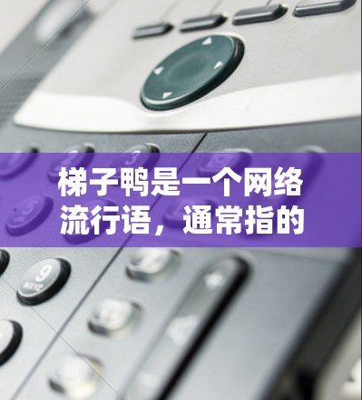 梯子鸭是一个网络流行语，通常指的是一个在某个社区或者网络中的大鱼。它通常用来形容一种非常受欢迎或强大的人物、团队、产品等