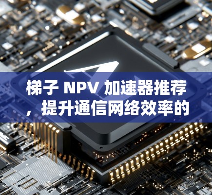 梯子 NPV 加速器推荐，提升通信网络效率的终极解决方案