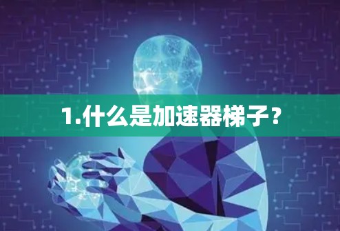 1.什么是加速器梯子? 1.什么是加速器梯子?