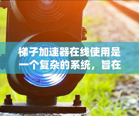 梯子加速器在线使用是一个复杂的系统，旨在加速大型模型的训练过程。以下是对它的工作原理的详细分析