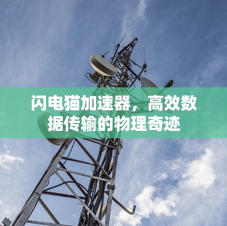 闪电猫加速器，高效数据传输的物理奇迹