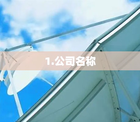 1.公司名称