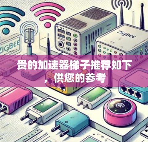 贵的加速器梯子推荐如下，供您的参考