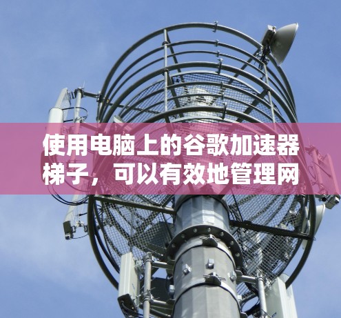 使用电脑上的谷歌加速器梯子，可以有效地管理网页缓存，提高访问速度和稳定性。以下是使用该梯子的关键步骤和功能