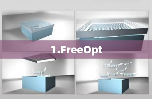 1.FreeOpt