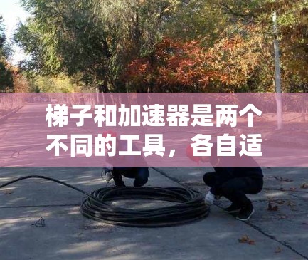梯子和加速器是两个不同的工具，各自适用于不同的场景和目的。以下是它们的详细比较