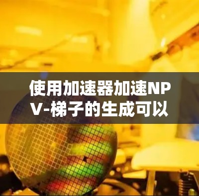 使用加速器加速NPV-梯子的生成可以简化财务分析过程，提高效率。以下是具体的步骤