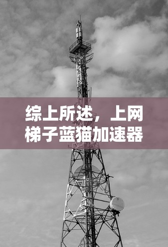 综上所述，上网梯子蓝猫加速器作为一个用于网络加速的工具，其效果因用户的具体需求而异。以下是对该工具的全面评价