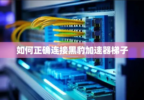 如何正确连接黑豹加速器梯子