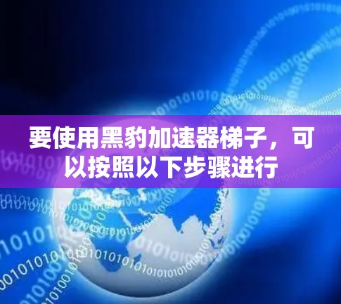 要使用黑豹加速器梯子，可以按照以下步骤进行