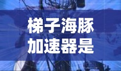 梯子海豚加速器是一种学习工具，帮助学习者更快地掌握知识。它通过分解学习内容为多个梯子，每个梯子代表不同的学习阶段或知识点，使用特定的按钮或方式辅助学习。以下是一些关键点和步骤来使用梯子海豚加速器
