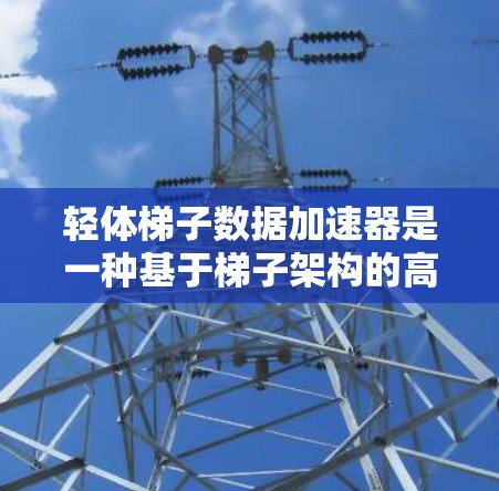 轻体梯子数据加速器是一种基于梯子架构的高效数据处理加速器，旨在提升计算效率，尤其适用于处理大型图像和视频数据。以下是对轻体梯子数据加速器的详细解析