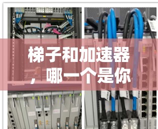 梯子和加速器，哪一个是你的公司？