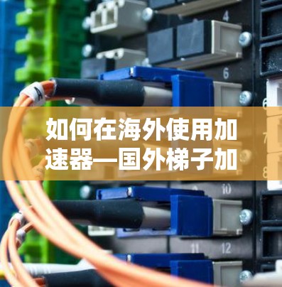 如何在海外使用加速器—国外梯子加速器安装指南