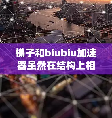 梯子和biubiu加速器虽然在结构上相似，但在功能和用法上存在显著差异。梯子主要用于搬运或 climbing，而加速器则用于加速。以下是它们的详细比较