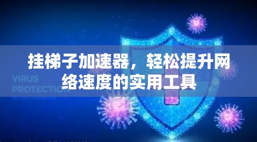 挂梯子加速器，轻松提升网络速度的实用工具