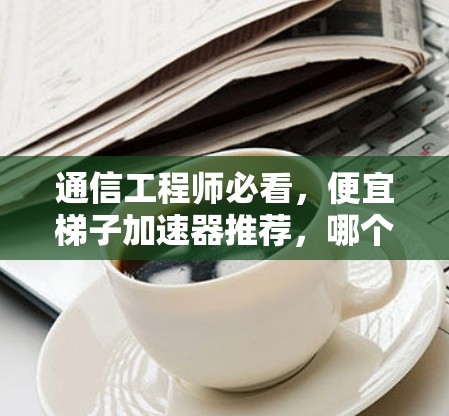 通信工程师必看，便宜梯子加速器推荐，哪个更适合你的需求？