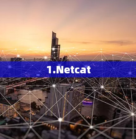 1.Netcat