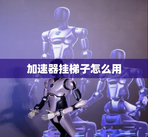 加速器挂梯子怎么用