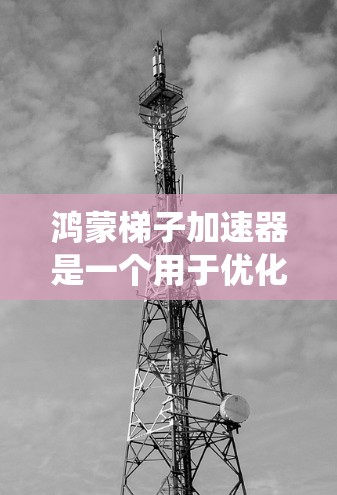鸿蒙梯子加速器是一个用于优化鸿蒙系统性能的工具，帮助用户在手机上提升运行效率。以下是详细的使用指南