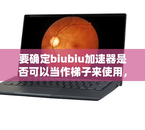 要确定biubiu加速器是否可以当作梯子来使用，需从以下几个方面进行分析