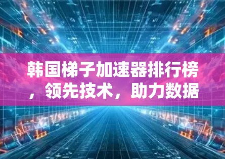 韩国梯子加速器排行榜，领先技术，助力数据流世界