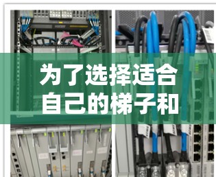 为了选择适合自己的梯子和加速器，以下是一些详细的分析和建议