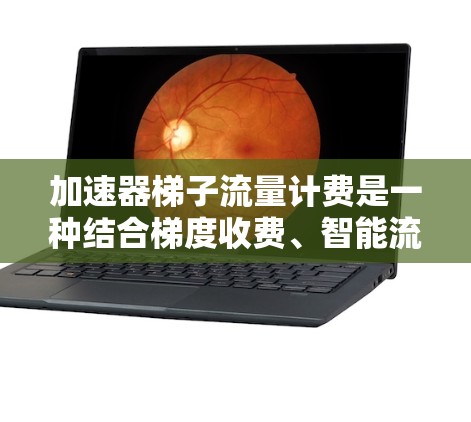 加速器梯子流量计费是一种结合梯度收费、智能流量管理和技术的流量计费方案，旨在帮助用户控制流量费用，提升用户体验。以下是对该计费方式的详细介绍