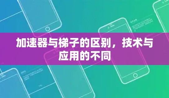 加速器与梯子的区别，技术与应用的不同