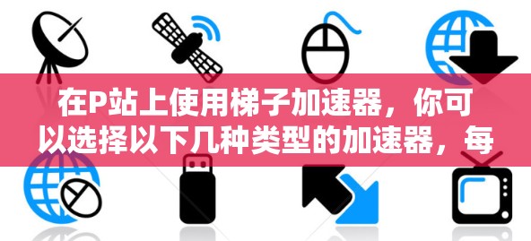 在P站上使用梯子加速器，你可以选择以下几种类型的加速器，每种类型的加速器有不同的特点和适用场景