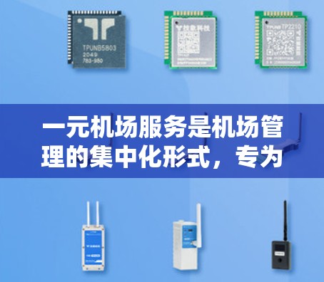 一元机场服务是机场管理的集中化形式，专为一个机场提供高效的运营和服务。以下是对一元机场服务的详细总结