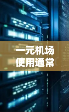 一元机场使用通常指的是机场的地面设施只有一个主要入口或门，这种设计通常在交通便利、成本较低、或特定应用场景中使用。以下是一元机场的一些常见特点和使用情况