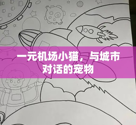 一元机场小猫，与城市对话的宠物