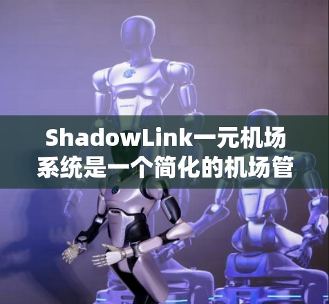 ShadowLink一元机场系统是一个简化的机场管理工具，适合需要基本功能的用户。以下是针对您的问题的详细总结和建议