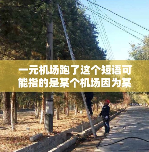 一元机场跑了这个短语可能指的是某个机场因为某些原因被拖出或者停机，或者指的是机场服务窗口减少，导致等待时间增加。以下是一些可能的解释和建议