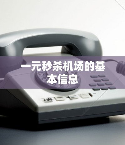 一元秒杀机场的基本信息