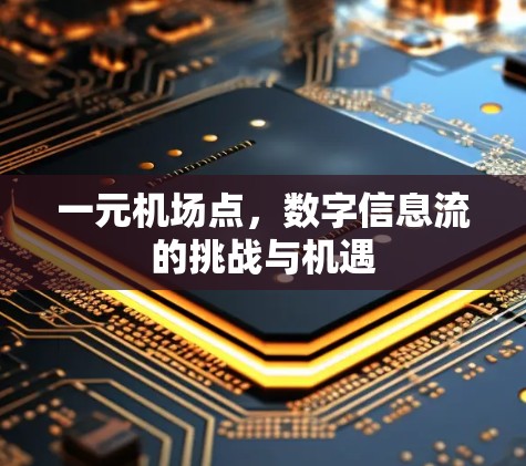 一元机场点，数字信息流的挑战与机遇