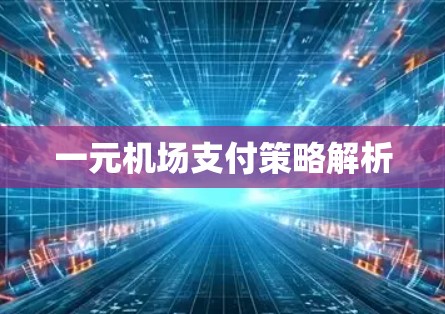 一元机场支付策略解析