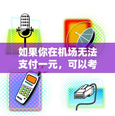 如果你在机场无法支付一元，可以考虑以下步骤来解决问题