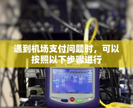 遇到机场支付问题时，可以按照以下步骤进行