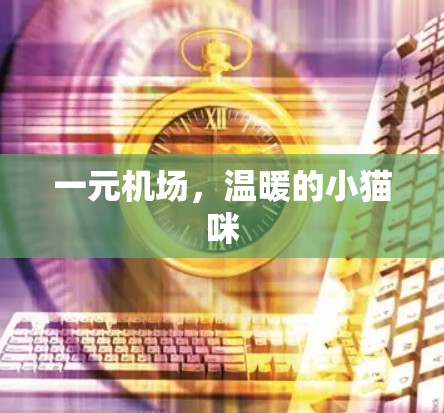 一元机场，温暖的小猫咪