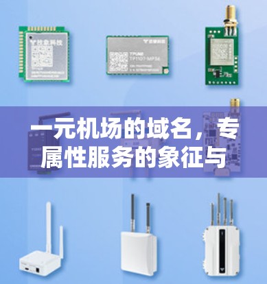 一元机场的域名，专属性服务的象征与未来展望
