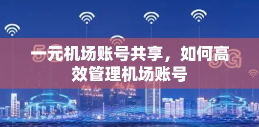 一元机场账号共享，如何高效管理机场账号