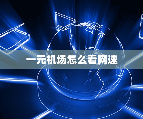 一元机场怎么看网速