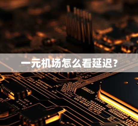 一元机场怎么看延迟？