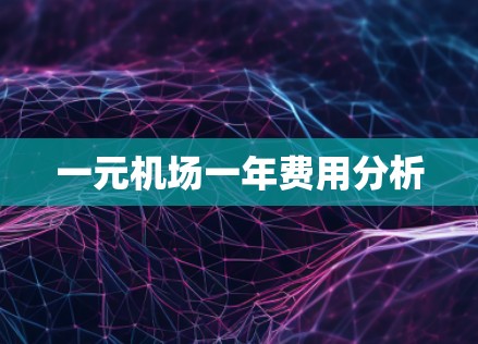 一元机场一年费用分析