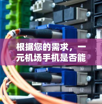 根据您的需求，一元机场手机是否能直接进入机场，取决于具体的手机模型和功能。以下是关于一元机场手机使用的一些关键信息和建议